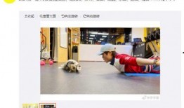 李宇春最新微博爆料自己,新作品即将来袭，惊喜连连！