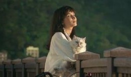 卢靖姗爆料吴京视频,揭秘武术巨星的真实一面